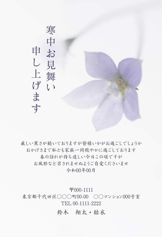 年賀家族の寒中見舞いデザイン「ふわりと浮かぶ一輪の桔梗の寒中見舞い（78806）」