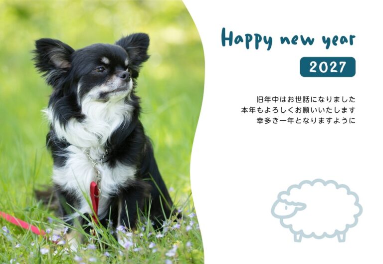 しまうまプリントの2027年用年賀状デザイン「波打つ写真枠のそばにたたずむ線画のひつじ（NKK061）」