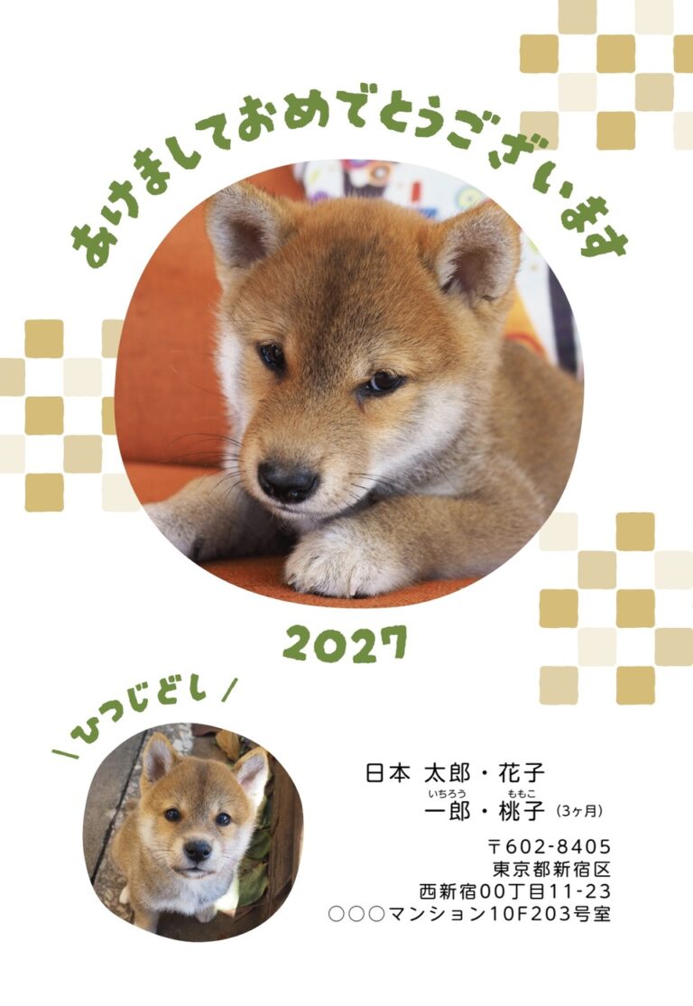 しまうまプリントの2027年用年賀状デザイン「市松模様にかこまれた丸い写真枠（NKK060）」