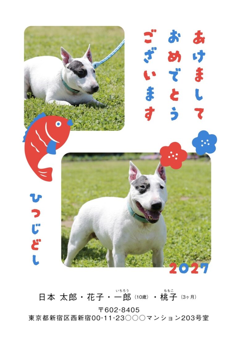 しまうまプリントの2027年用年賀状デザイン「魚と花をあしらったひらがなの賀詞（NKK058）」