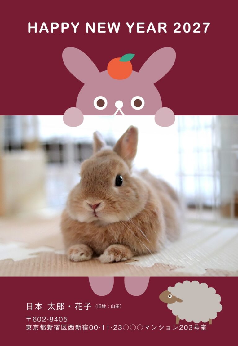 しまうまプリントの2027年用年賀状デザイン「写真の上からのぞく、みかんをのせたうさぎ（NKK067）」